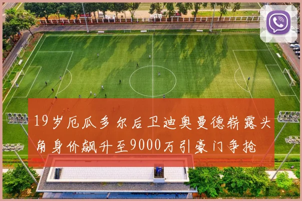 19岁厄瓜多尔后卫迪奥曼德崭露头角身价飙升至9000万引豪门争抢